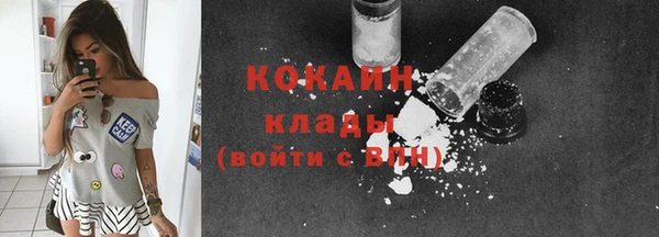 СК Бронницы