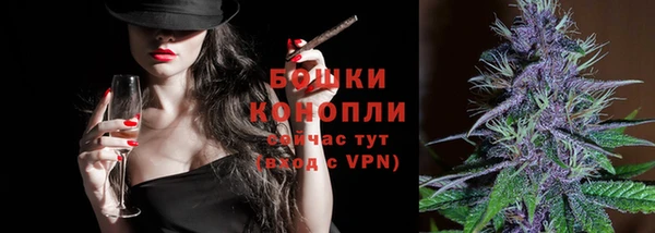 a pvp Бородино