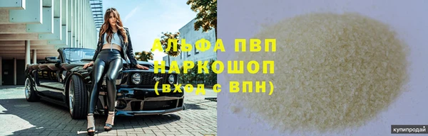 СК Бронницы