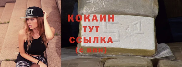 a pvp Бородино