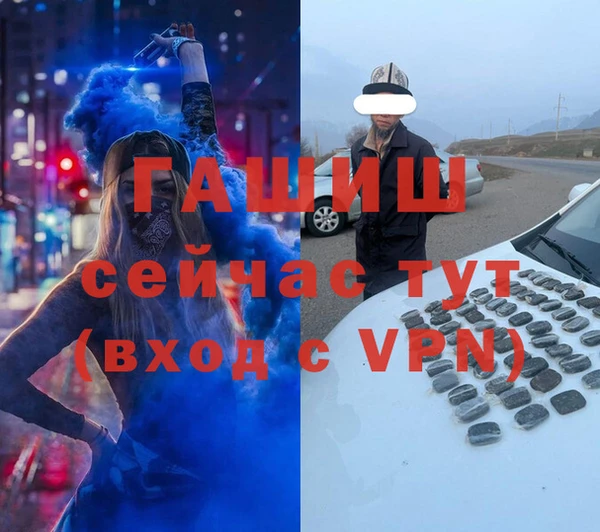 a pvp Бородино