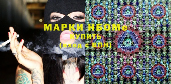 a pvp Бородино
