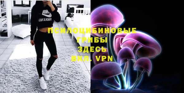 a pvp Бородино