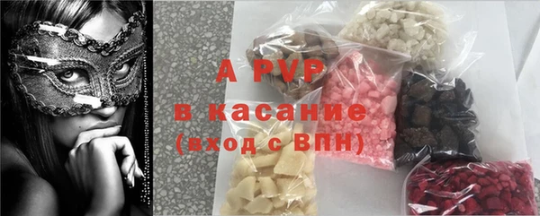 a pvp Бородино