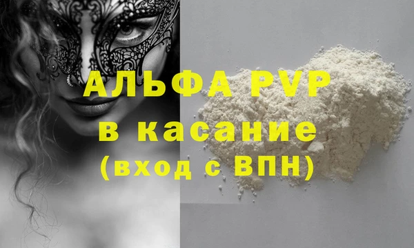 a pvp Бородино